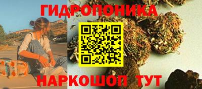 крисы Гусь-Хрустальный