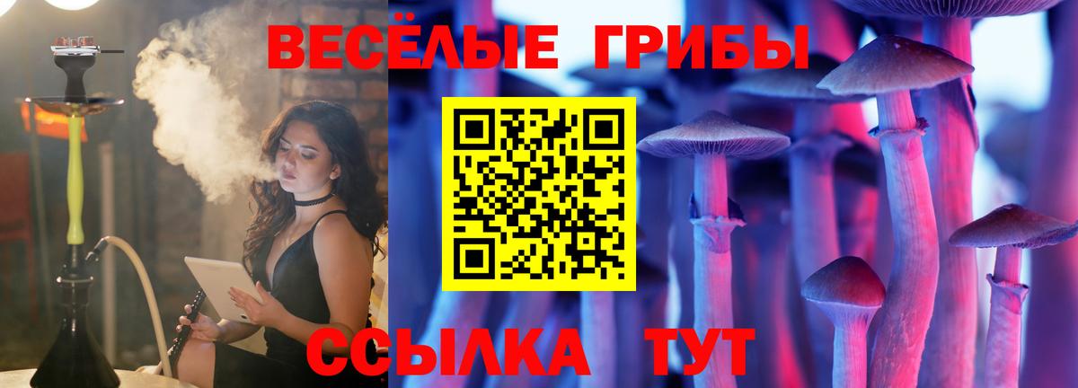 Галлюциногенные грибы Cubensis Новоалтайск