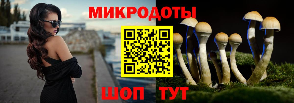 Новоалтайск  Псилоцибиновые грибы Psilocybine cubensis  Вход с VPN 